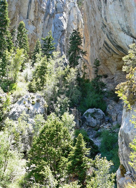 Robbers Roost